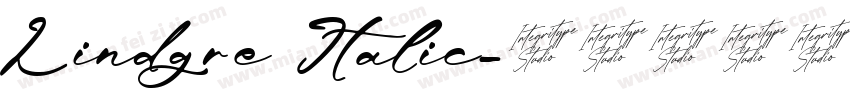Lindgre Italic字体转换